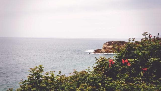 Vina del Mar